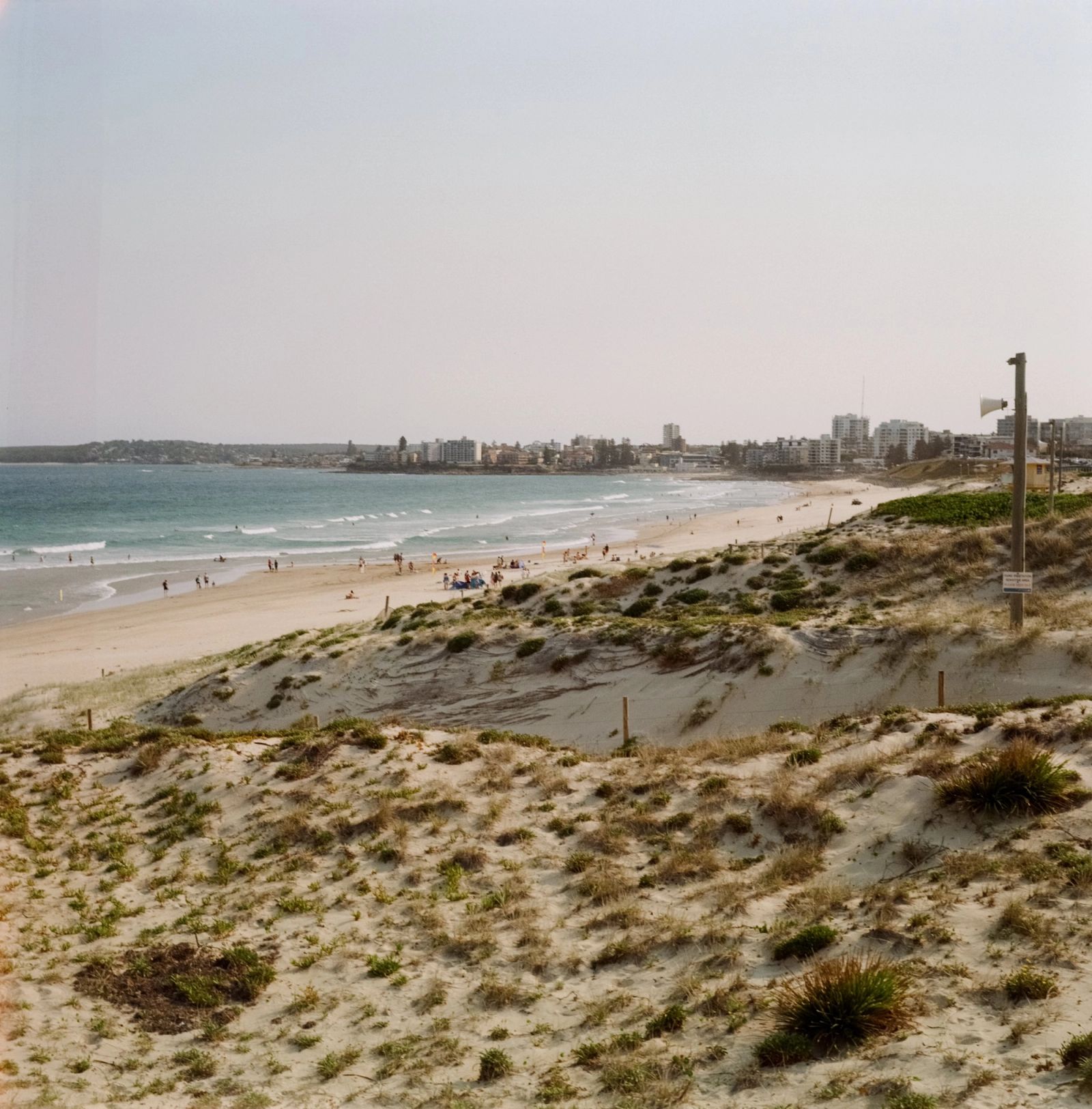 Film Beach Dunes 01