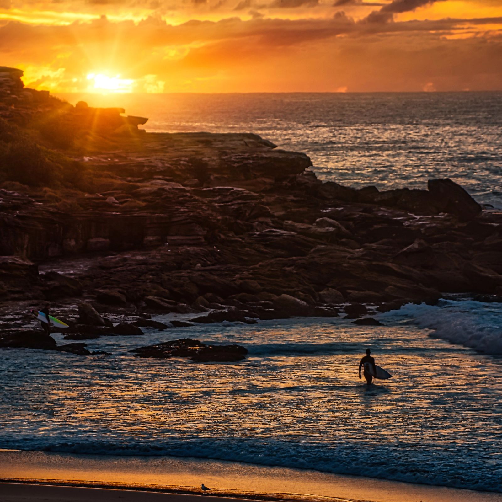 Surfers Sunset Rock Shelf