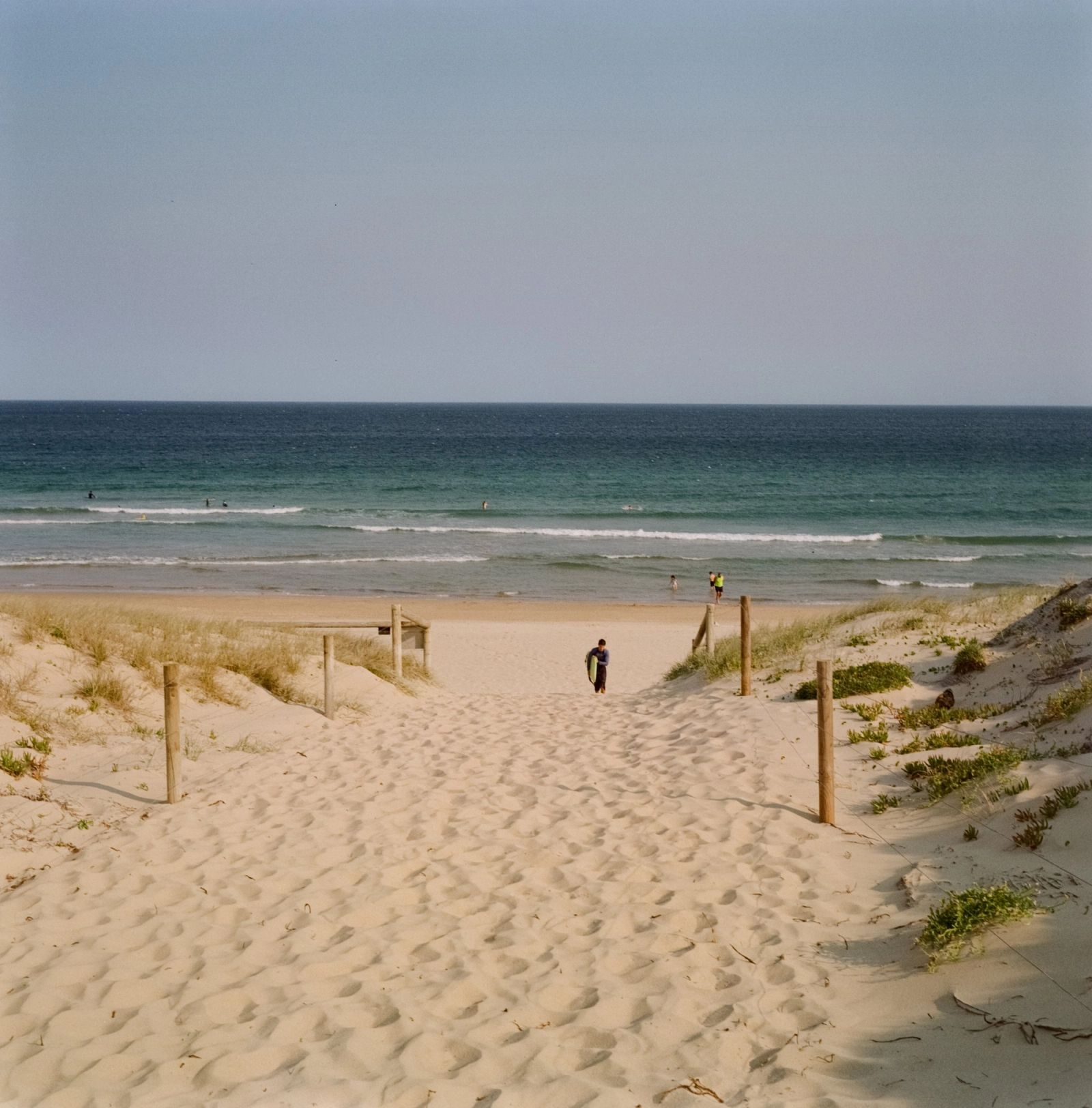 Film Beach Path Dunes
