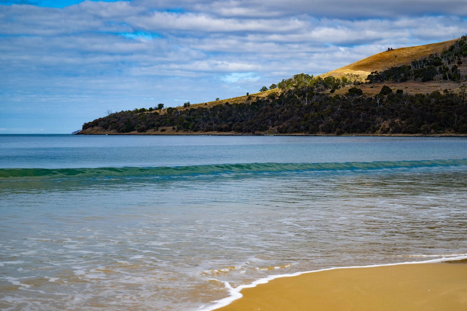 Tasmania Beach Turquoise
