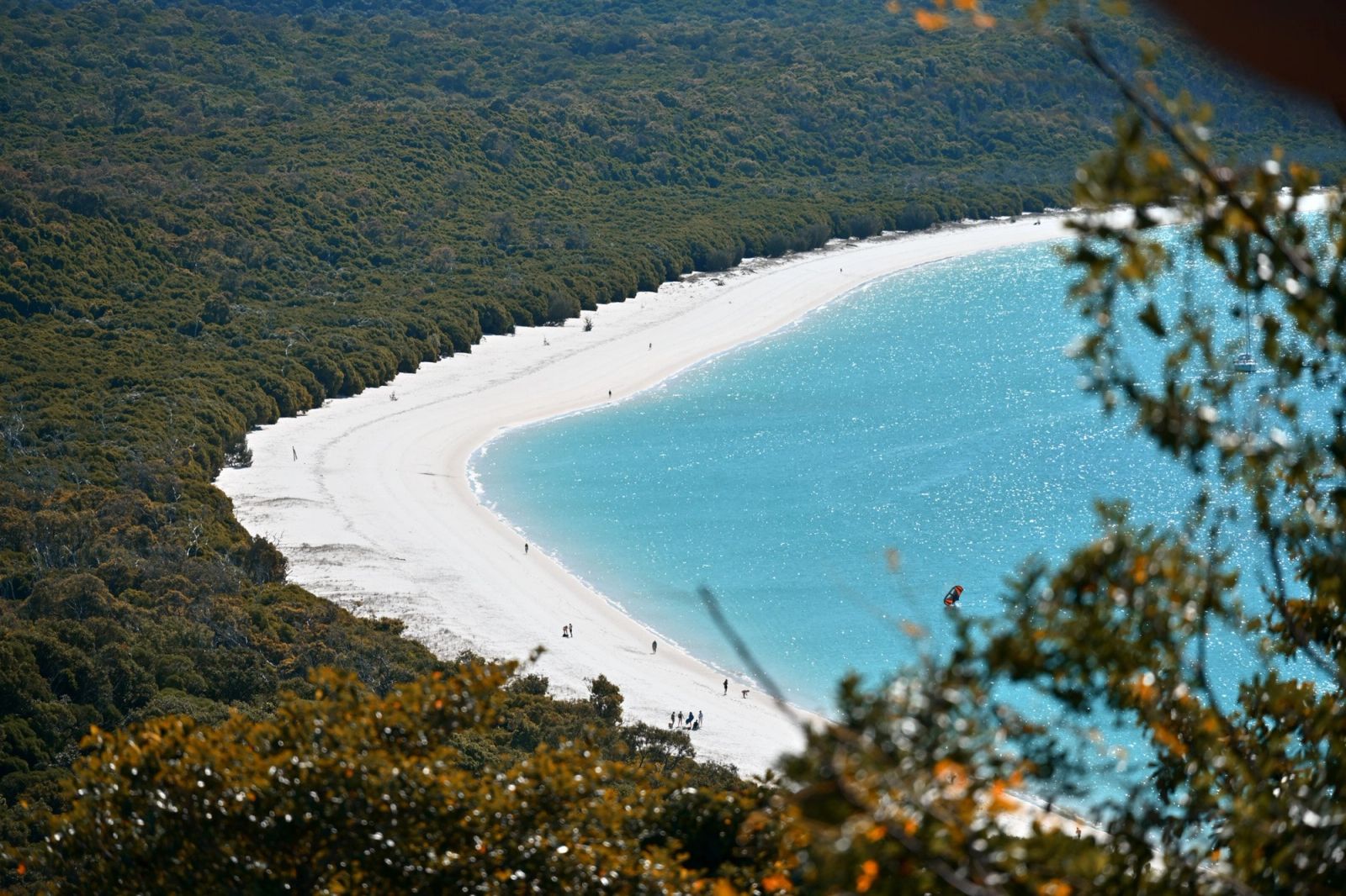Whitsundays Beach Aerial