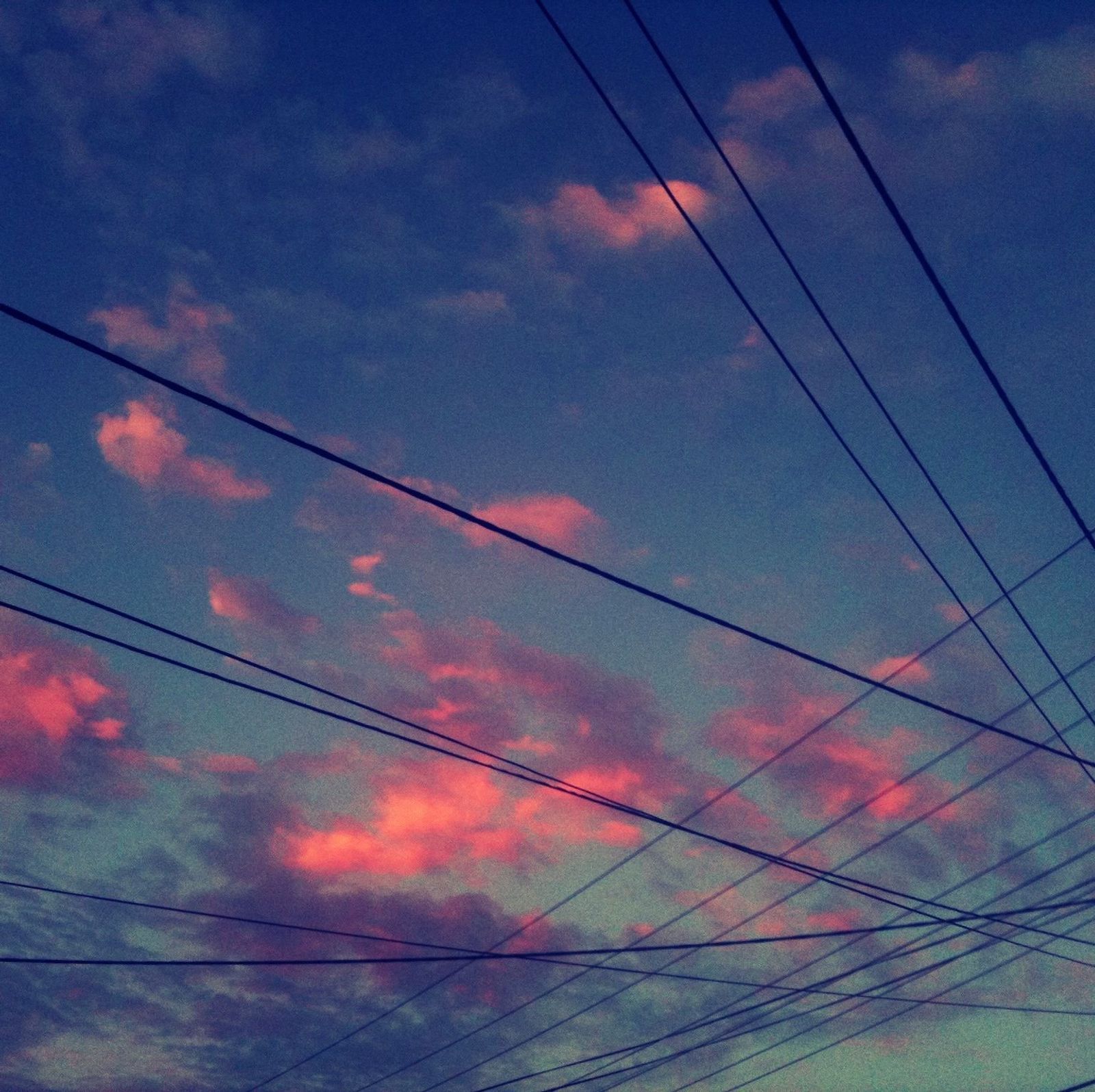 Iphone 403 Iphoneography