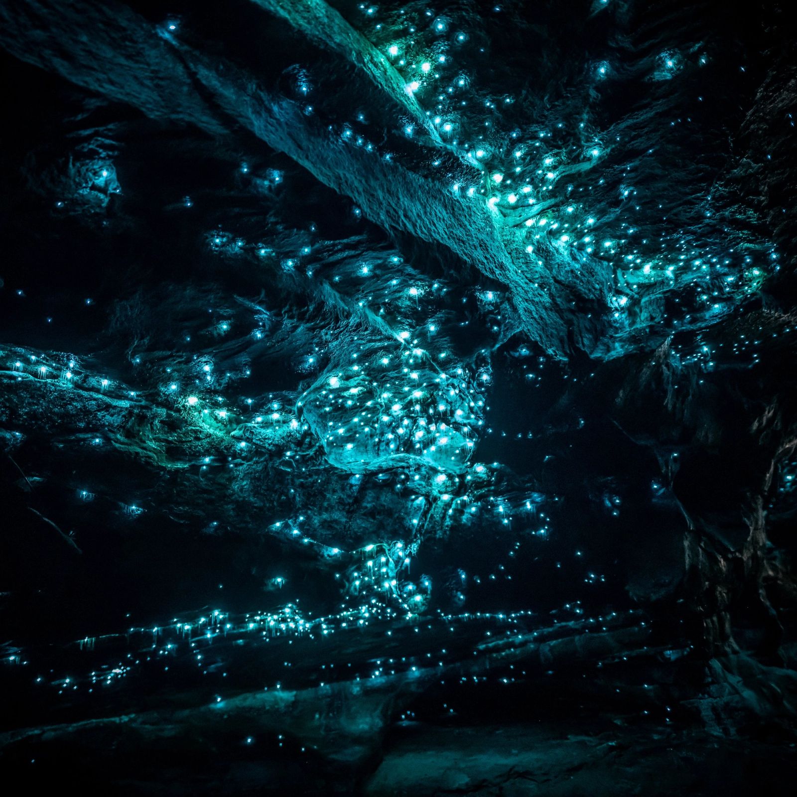 Glow Worm Cave 02