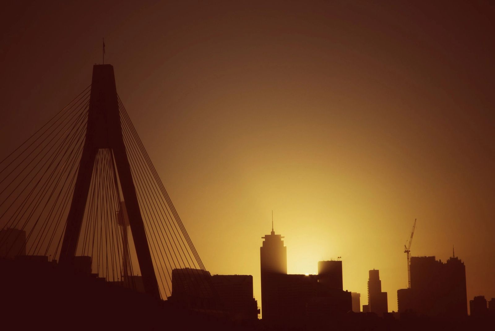 Anzac Bridge Sunset