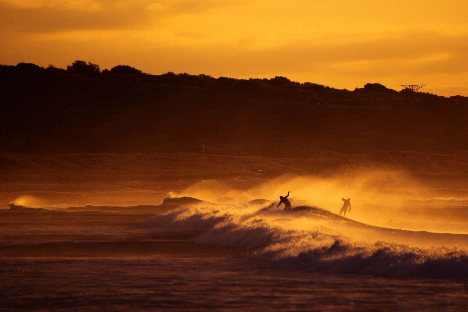 Cronulla Golden Dune Spray