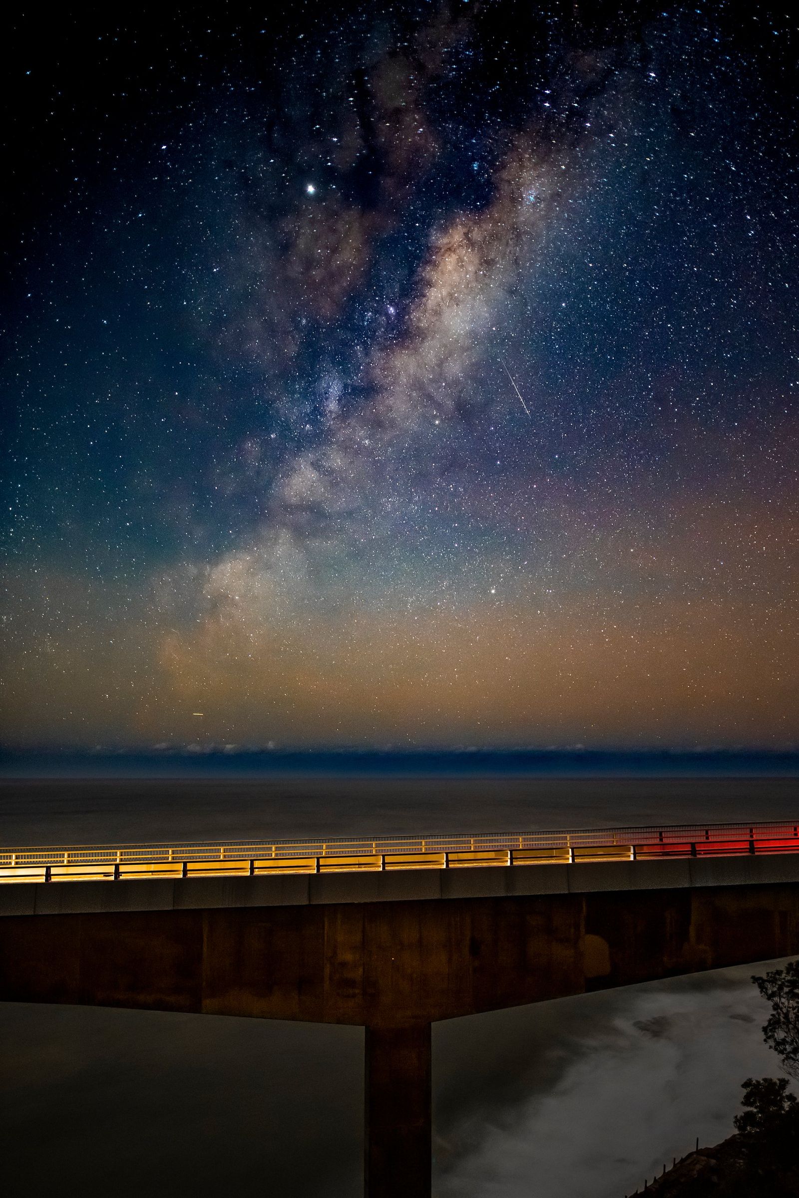Sea Cliff Shooting Star