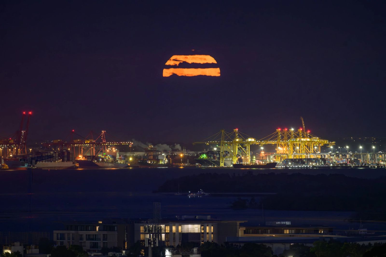 Harbour Lights Night