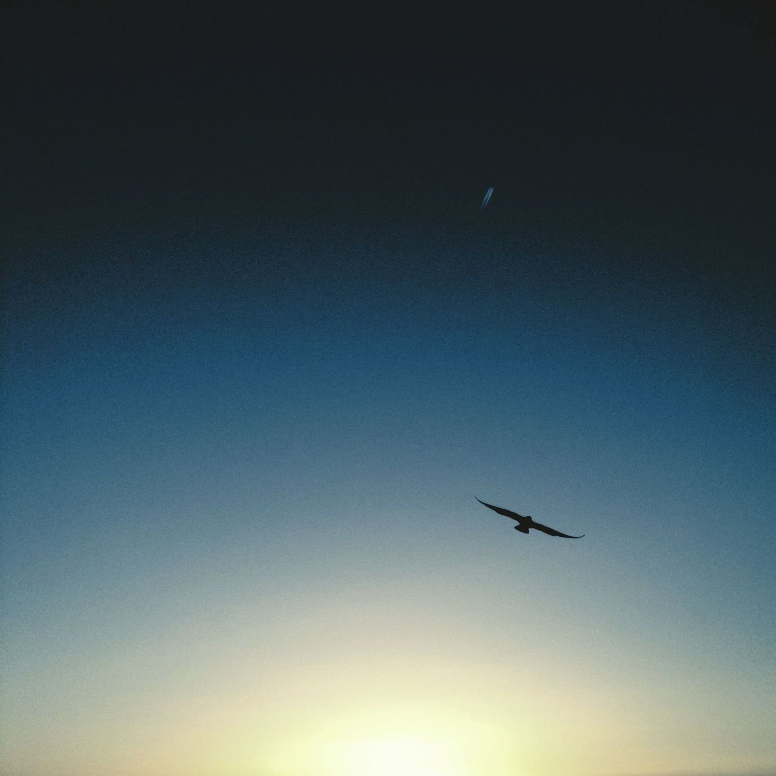 Iphone 696 Iphoneography