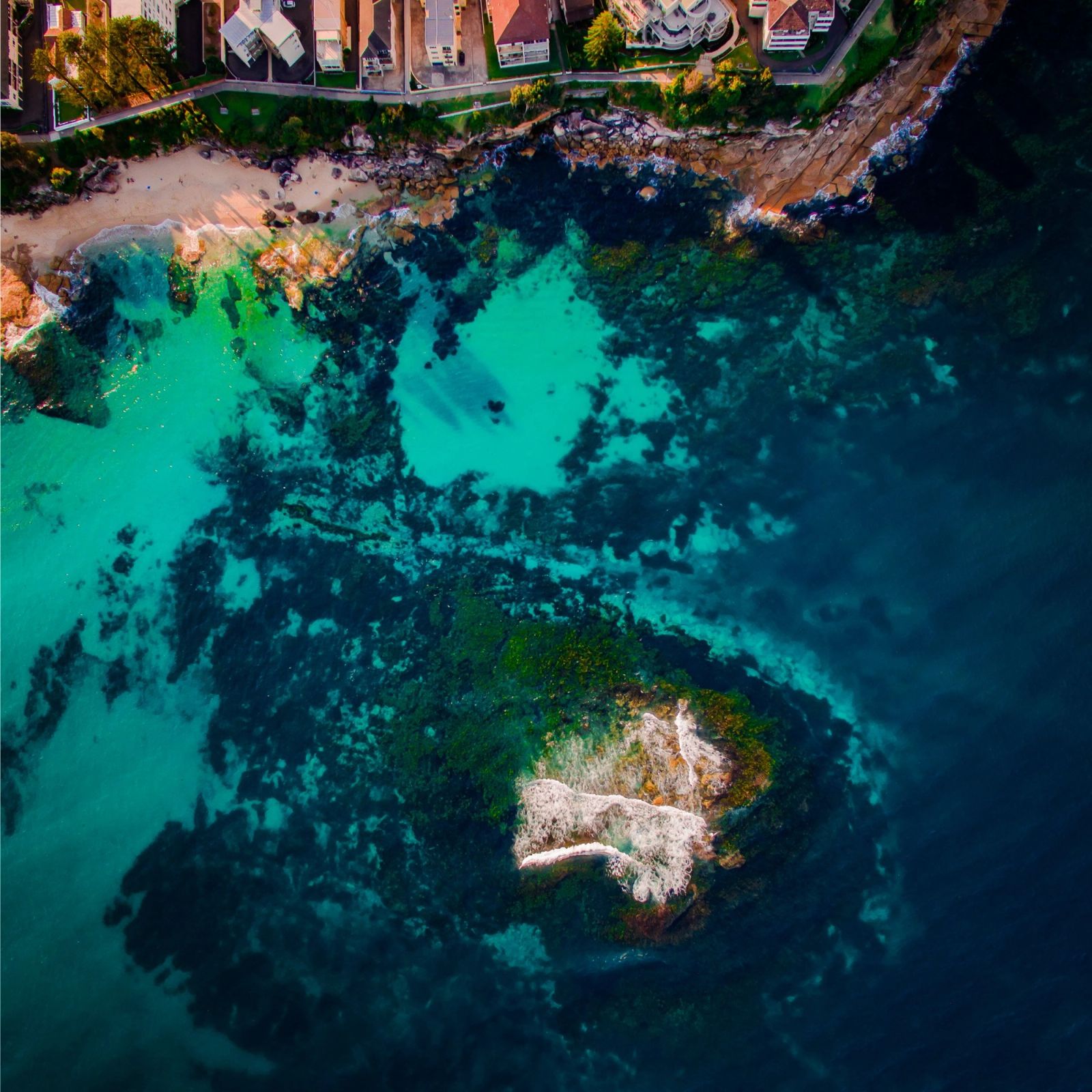 Shark Island Cronulla Aerial