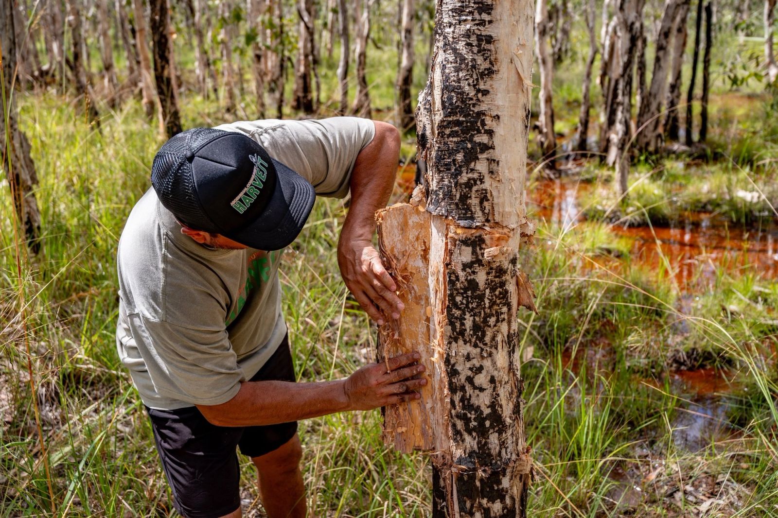 ANB Austrade 2025 027 Community Harvest