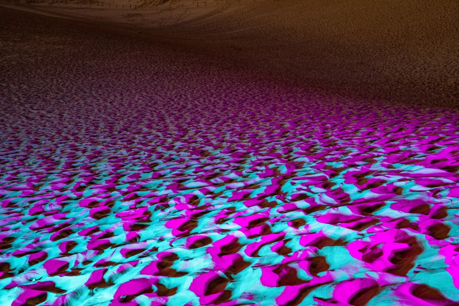 Lightpainting Pink Field 01