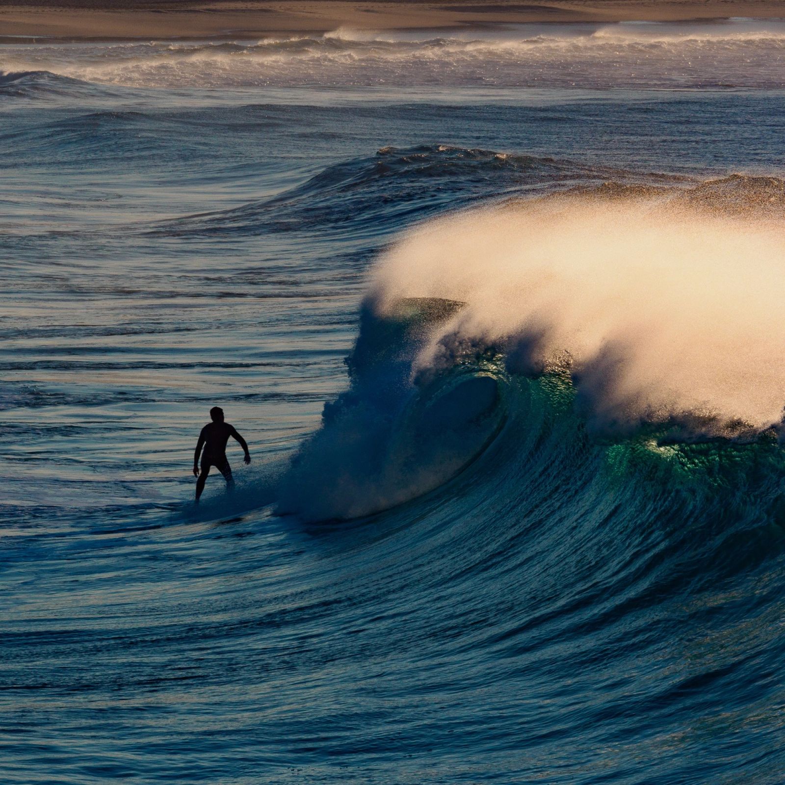 Bondi Wave Rider