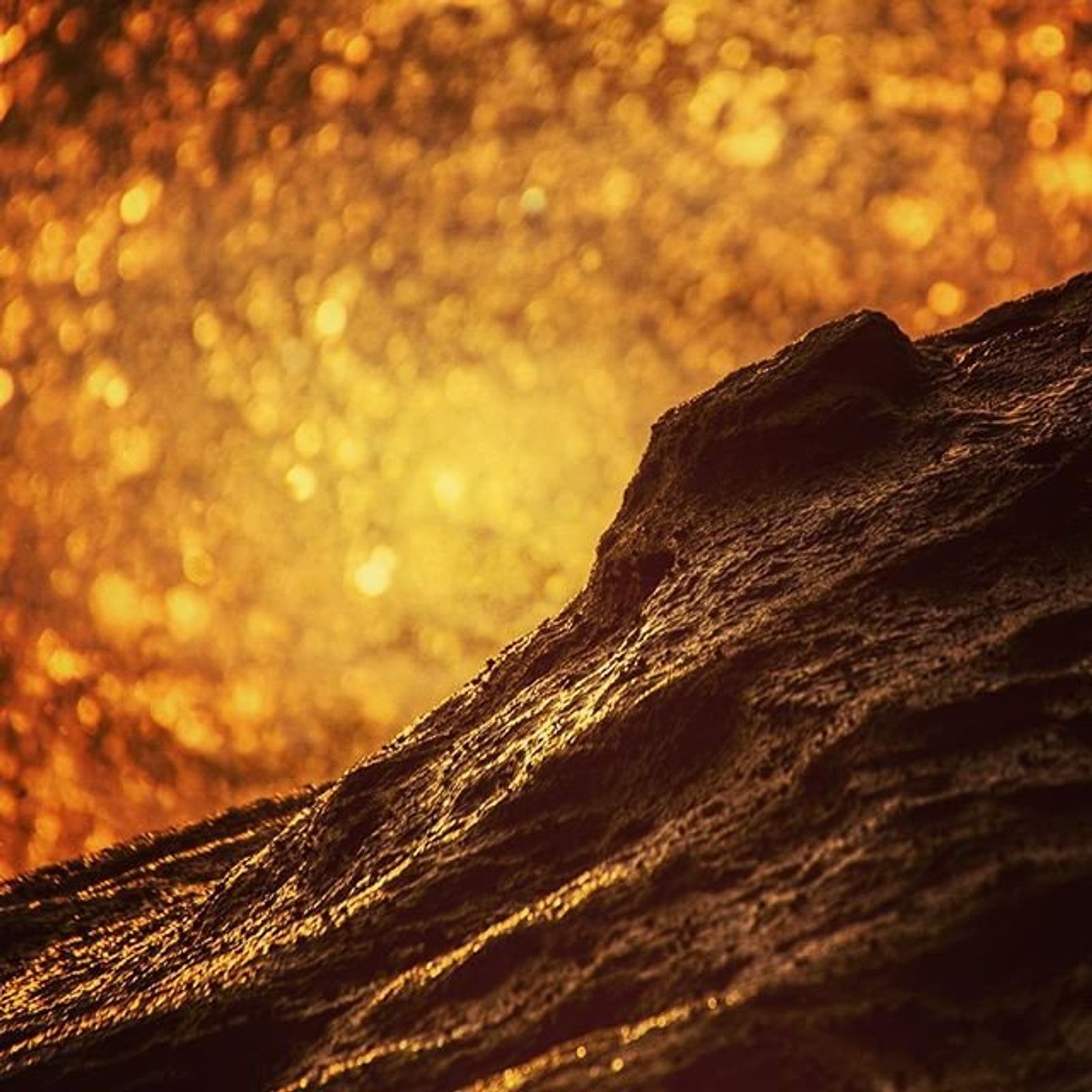 South Cronulla Rock Detail Sunrise