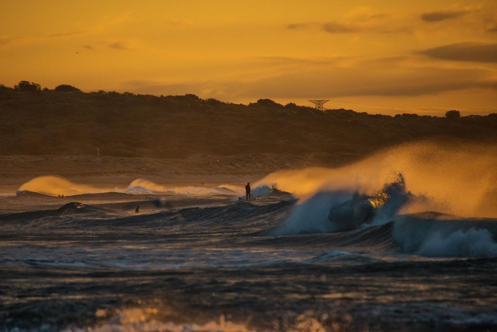 Lone Surfer Golden Wave