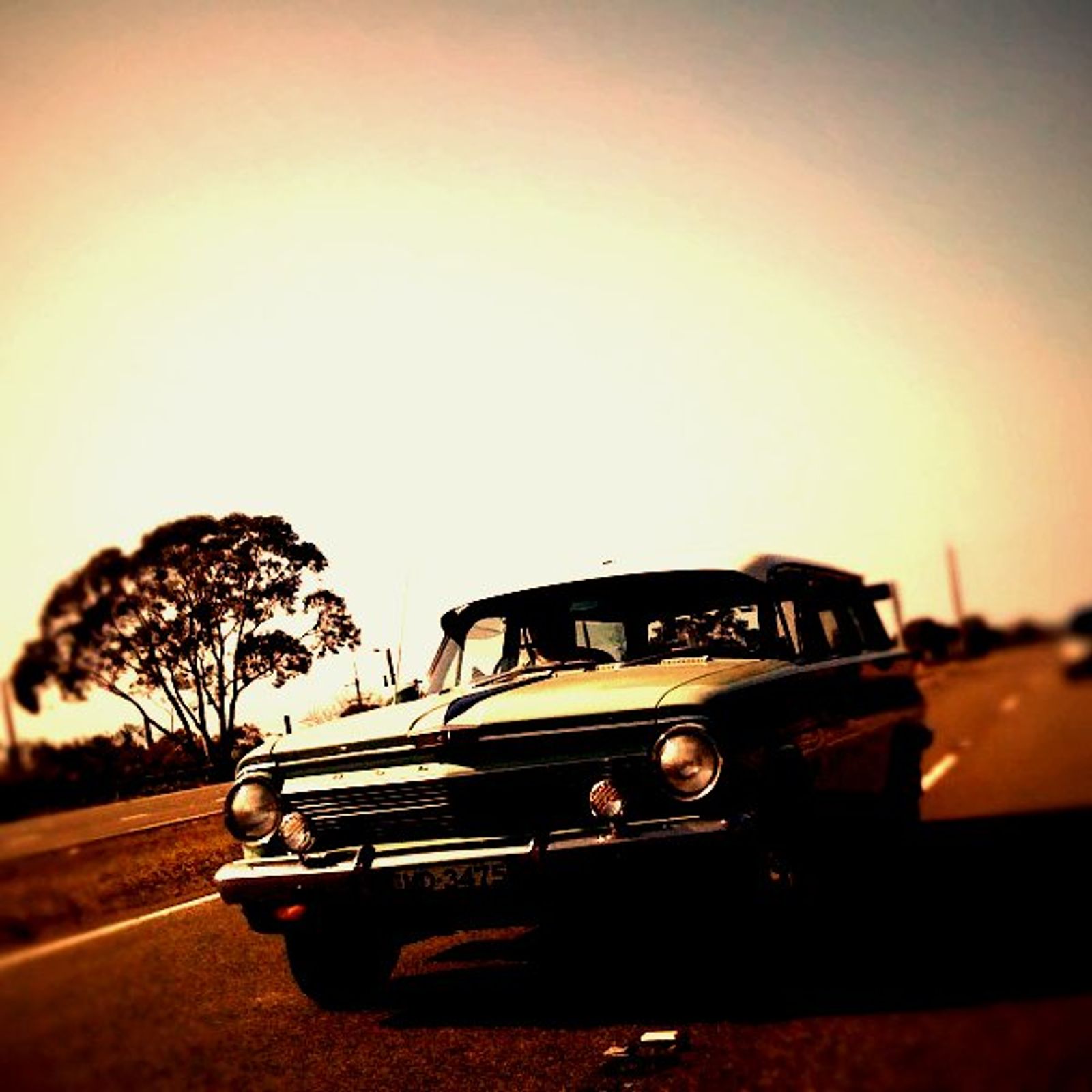 Iphone Photo 6365