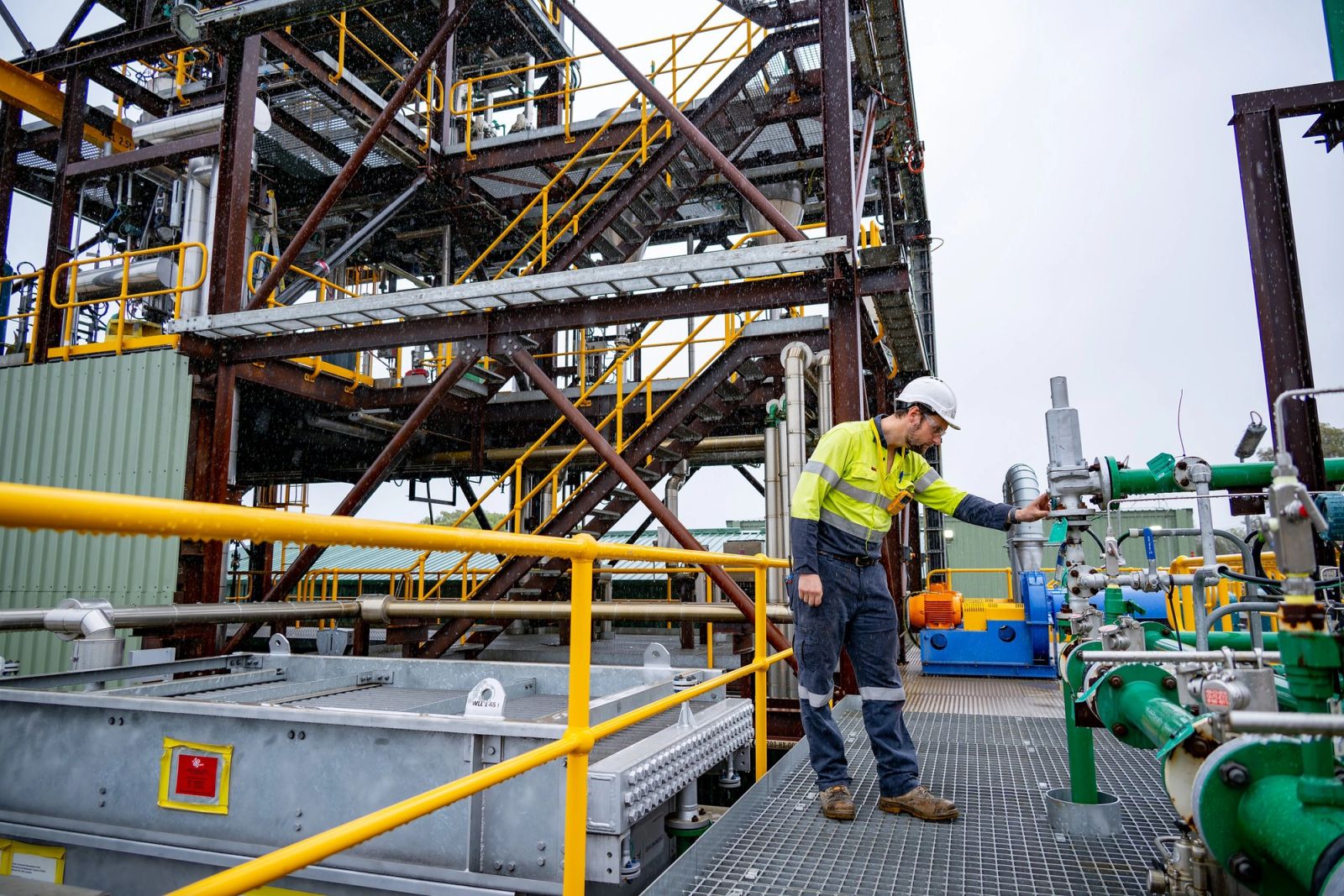 Austradenetzero 19 Hazer 00626