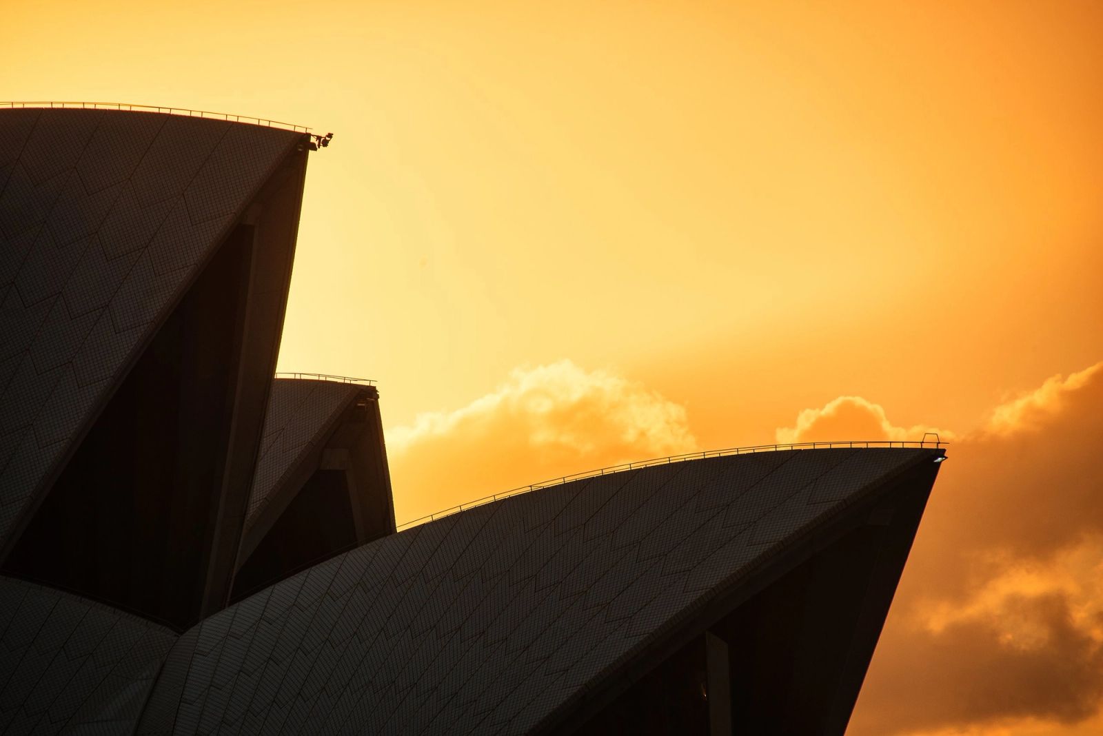 Sydney Opera House Golden Sails