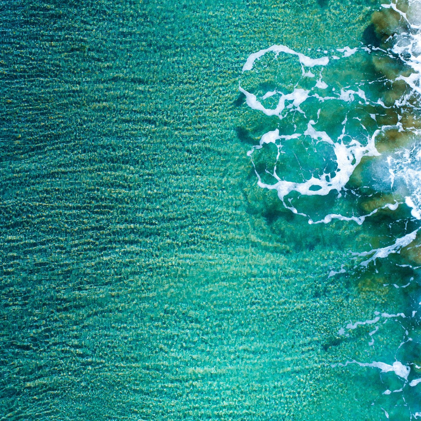 Abstract Wave Teal I