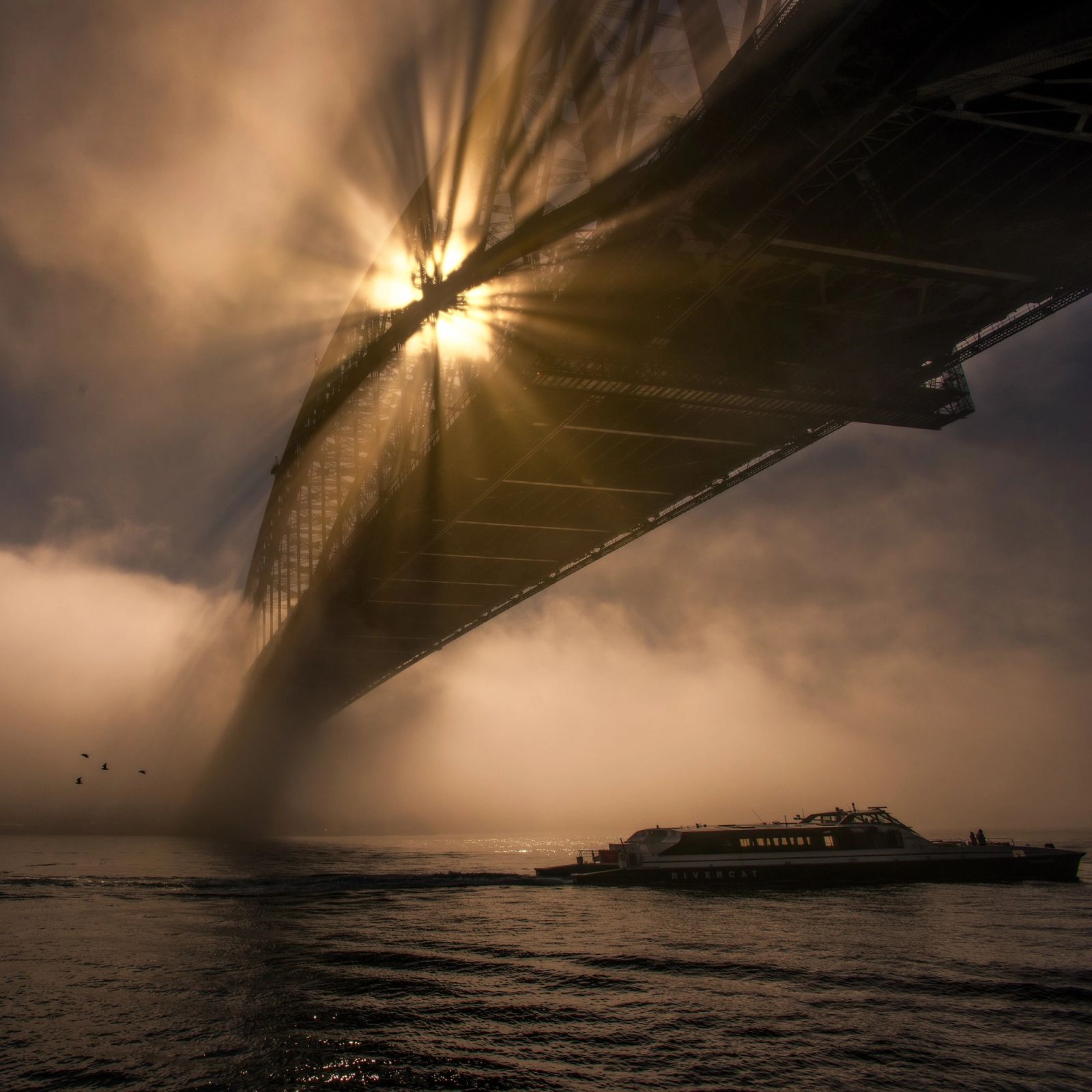 Sydney Harbour Sunburst