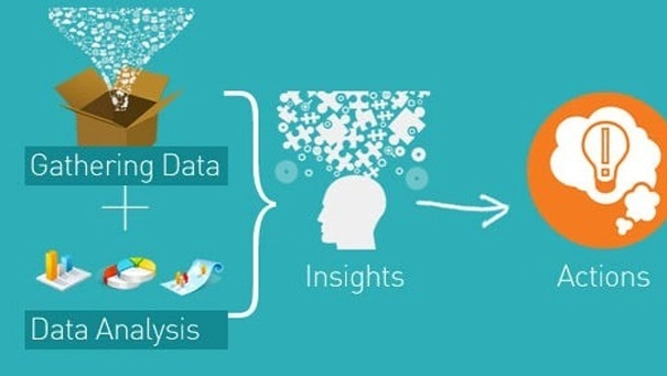 From Data to Decisions- Turning Insights into Action