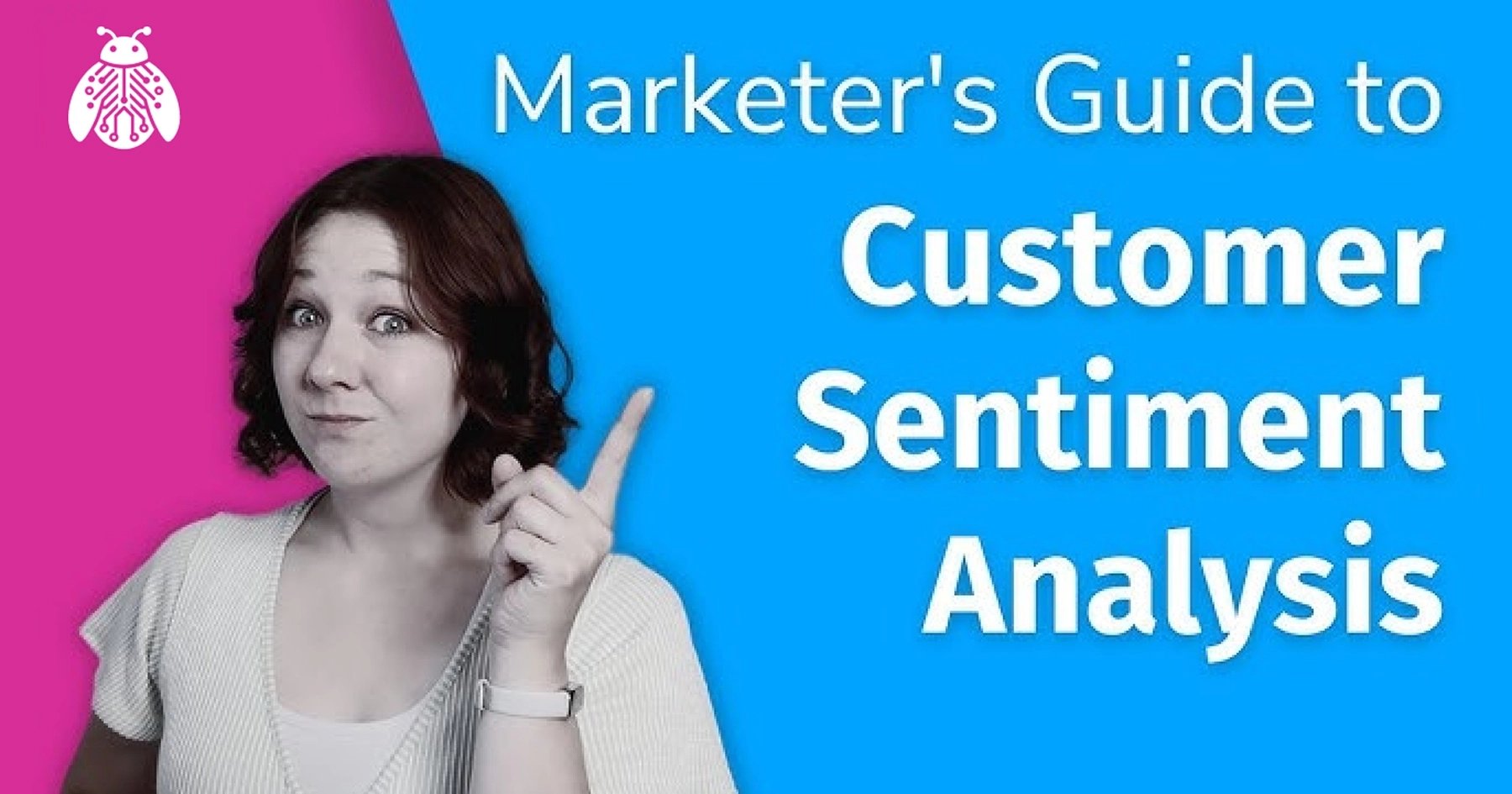 The Seller's Guide to Sentiment Analysis: Turning Amazon Reviews into Actionable Insights featured image