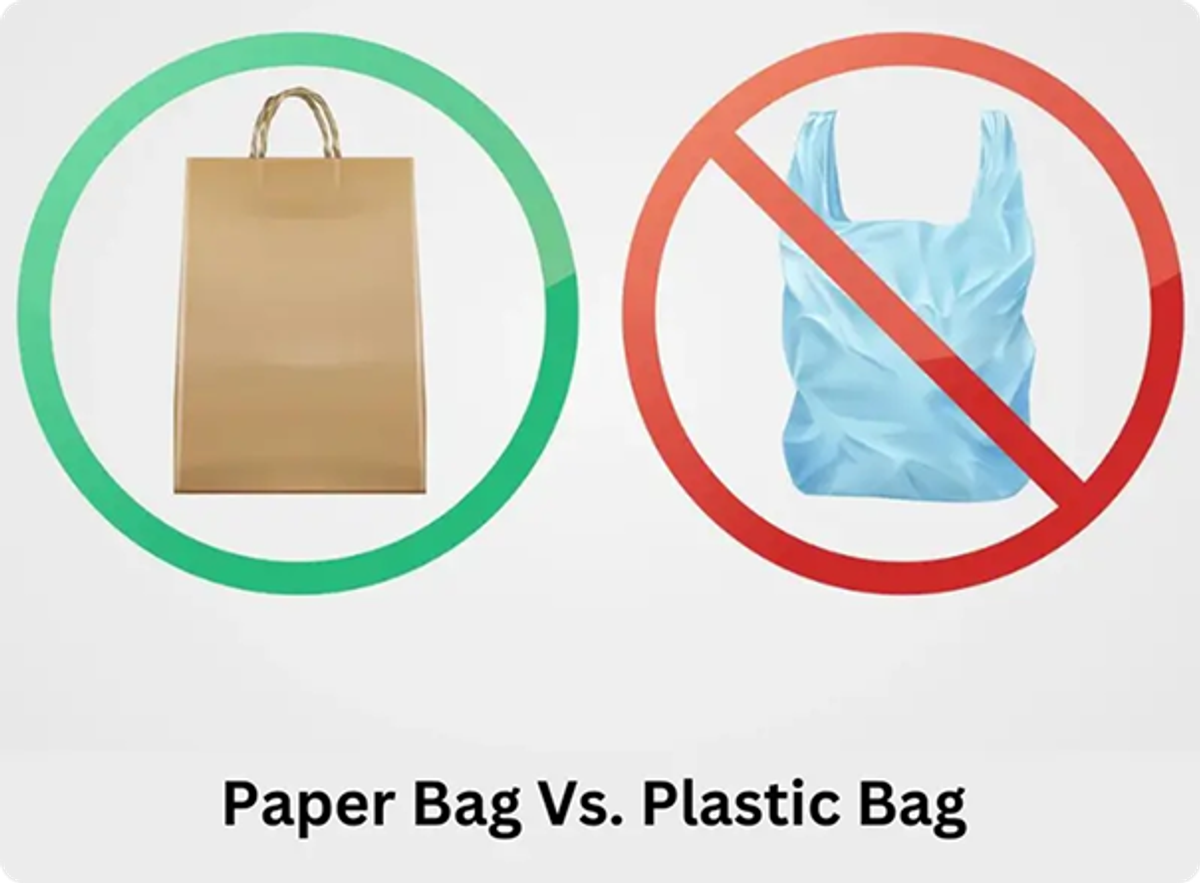 Single-Use Plastic Packaging Ban (Amazon Germany Focus)
