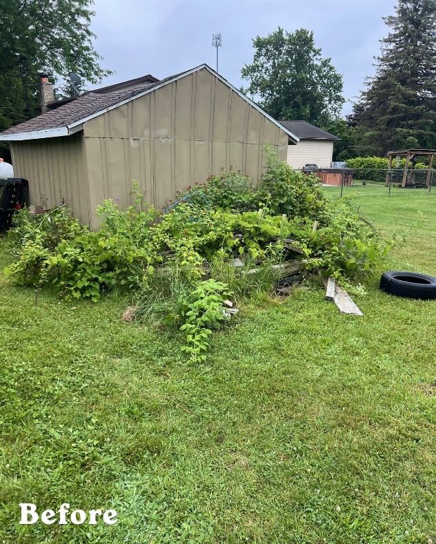 Shed Cleanup