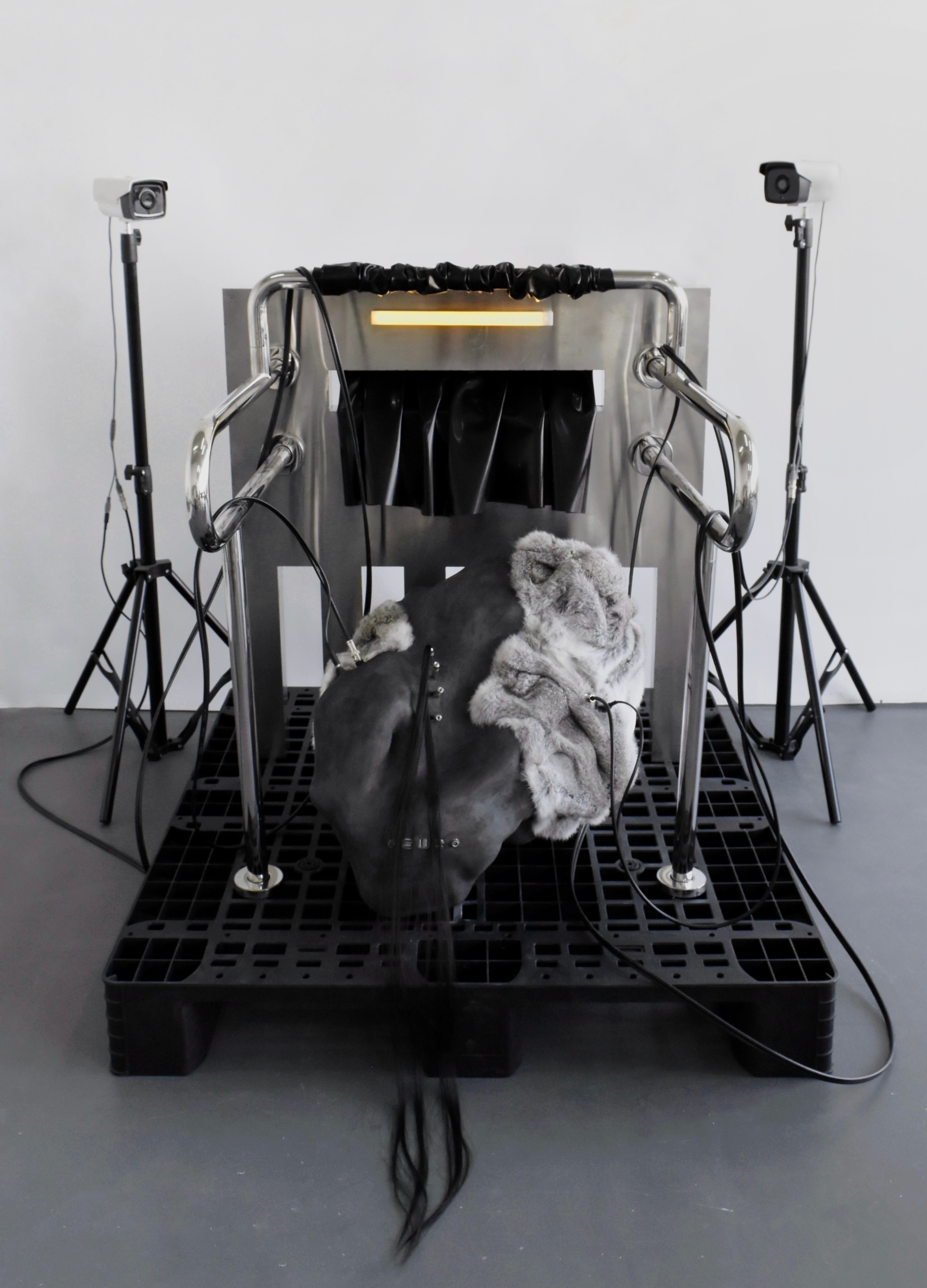 Hear the Voices That Beckon