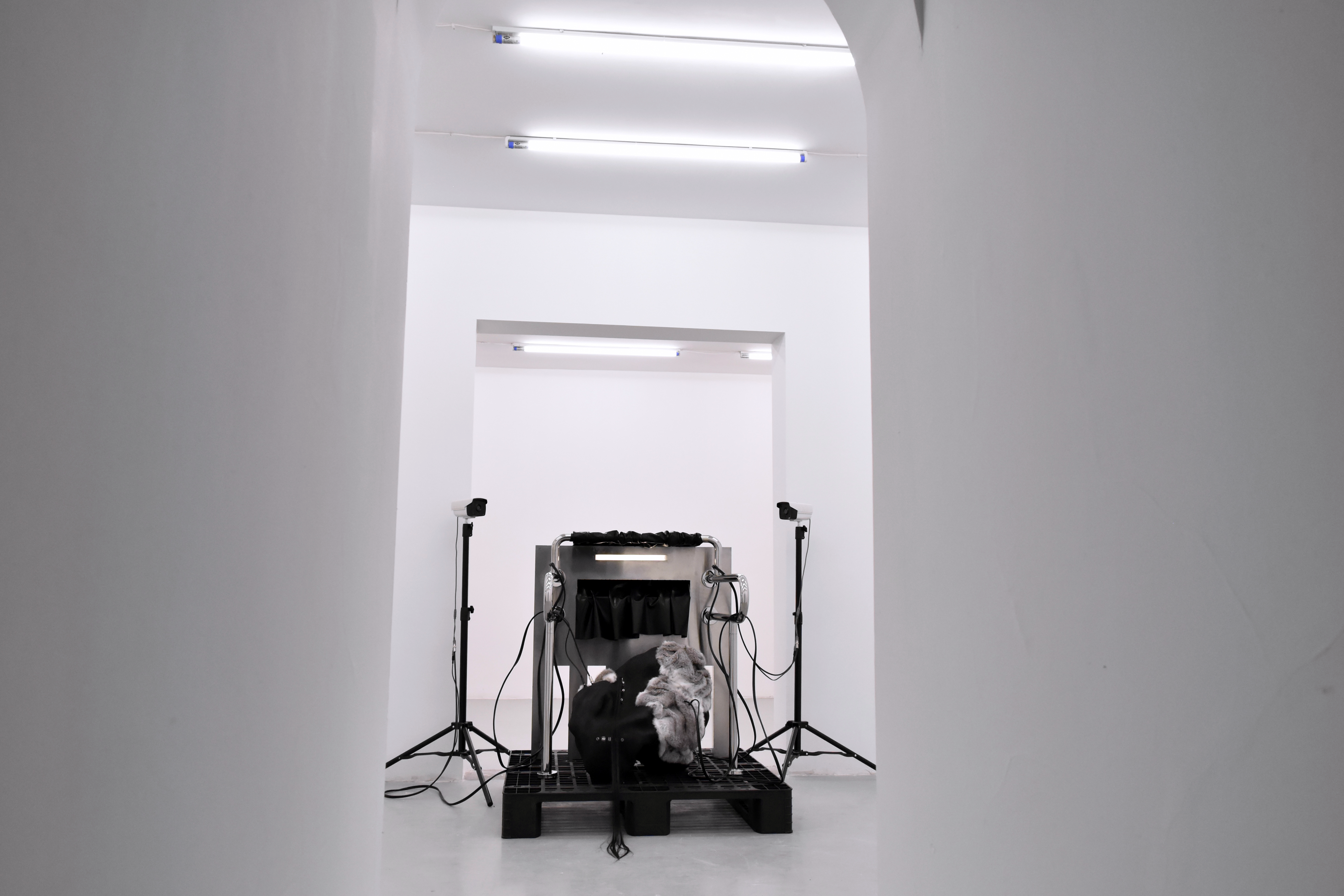 As It Turns Quiet, We Rot