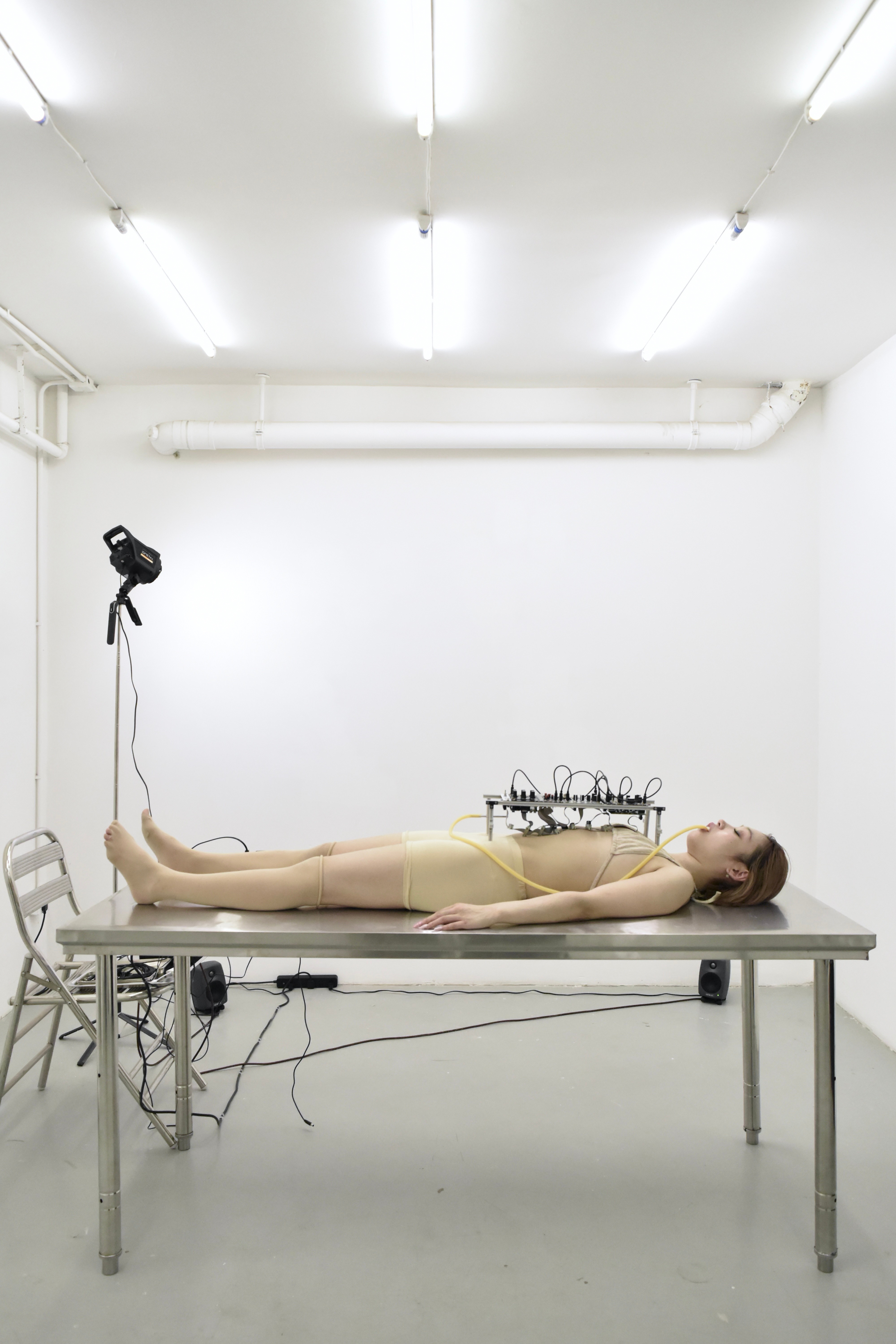 As It Turns Quiet, We Rot