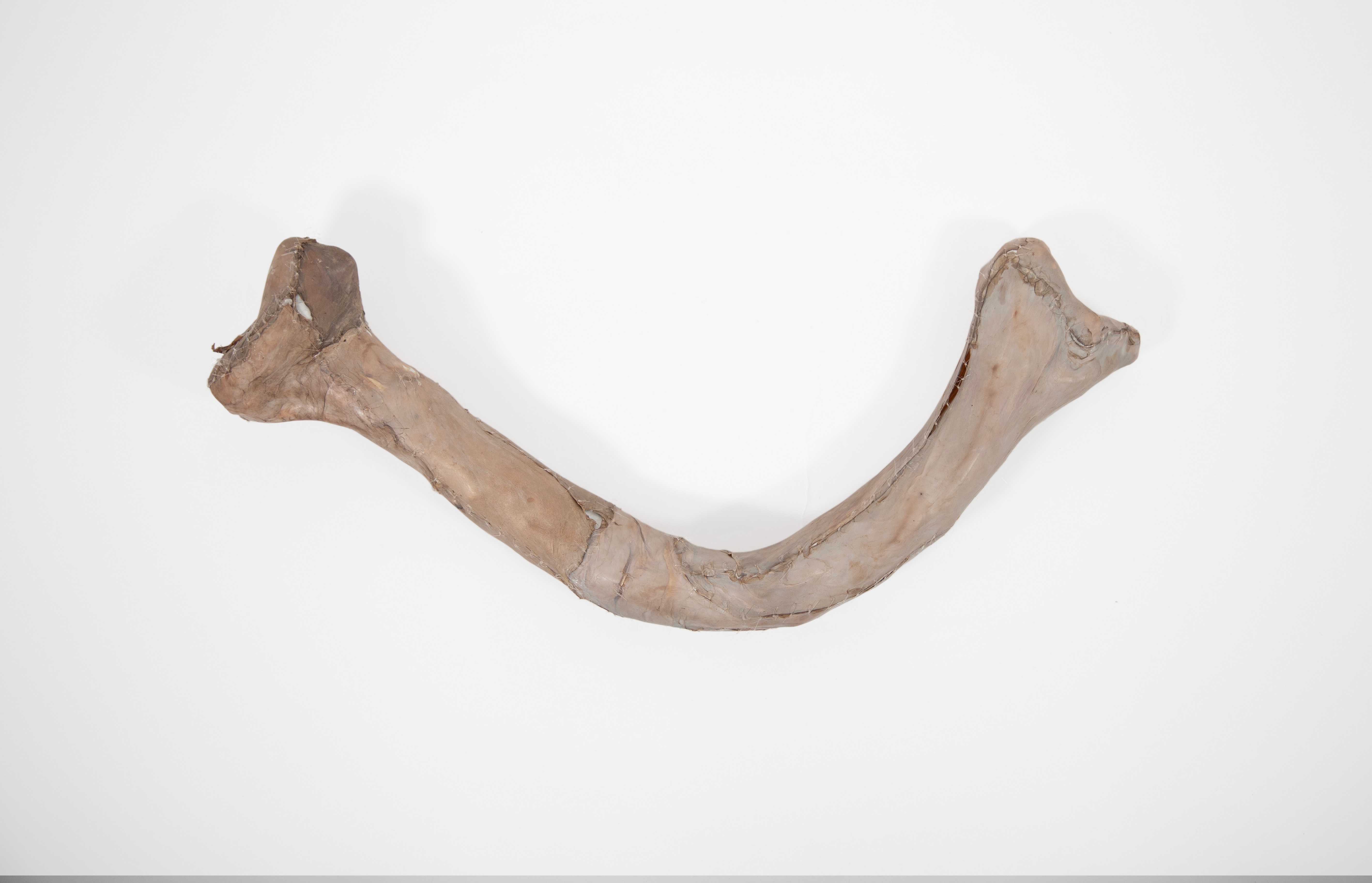 Untitled (Bone III)