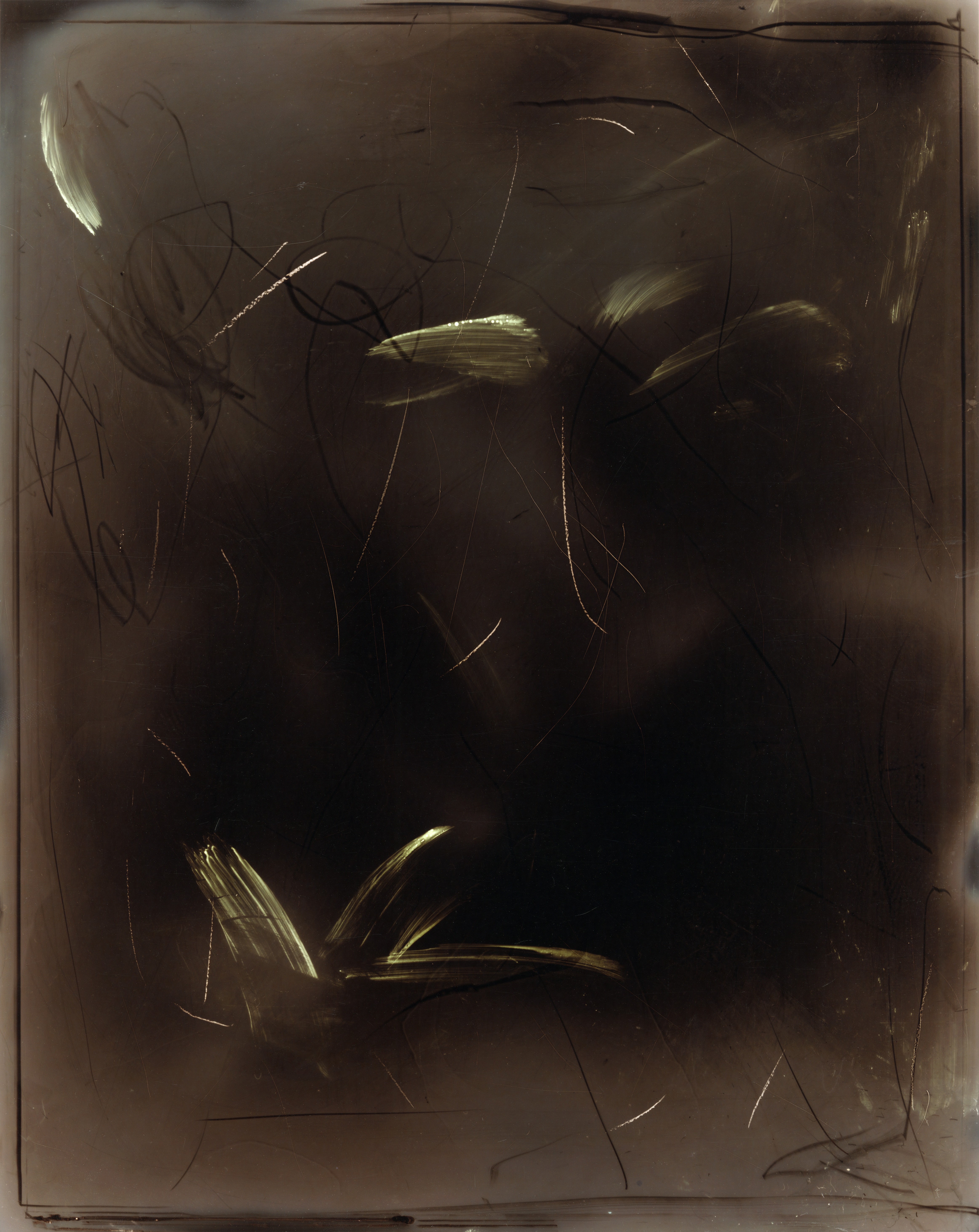 Narcissus wandering in the pathless woods’