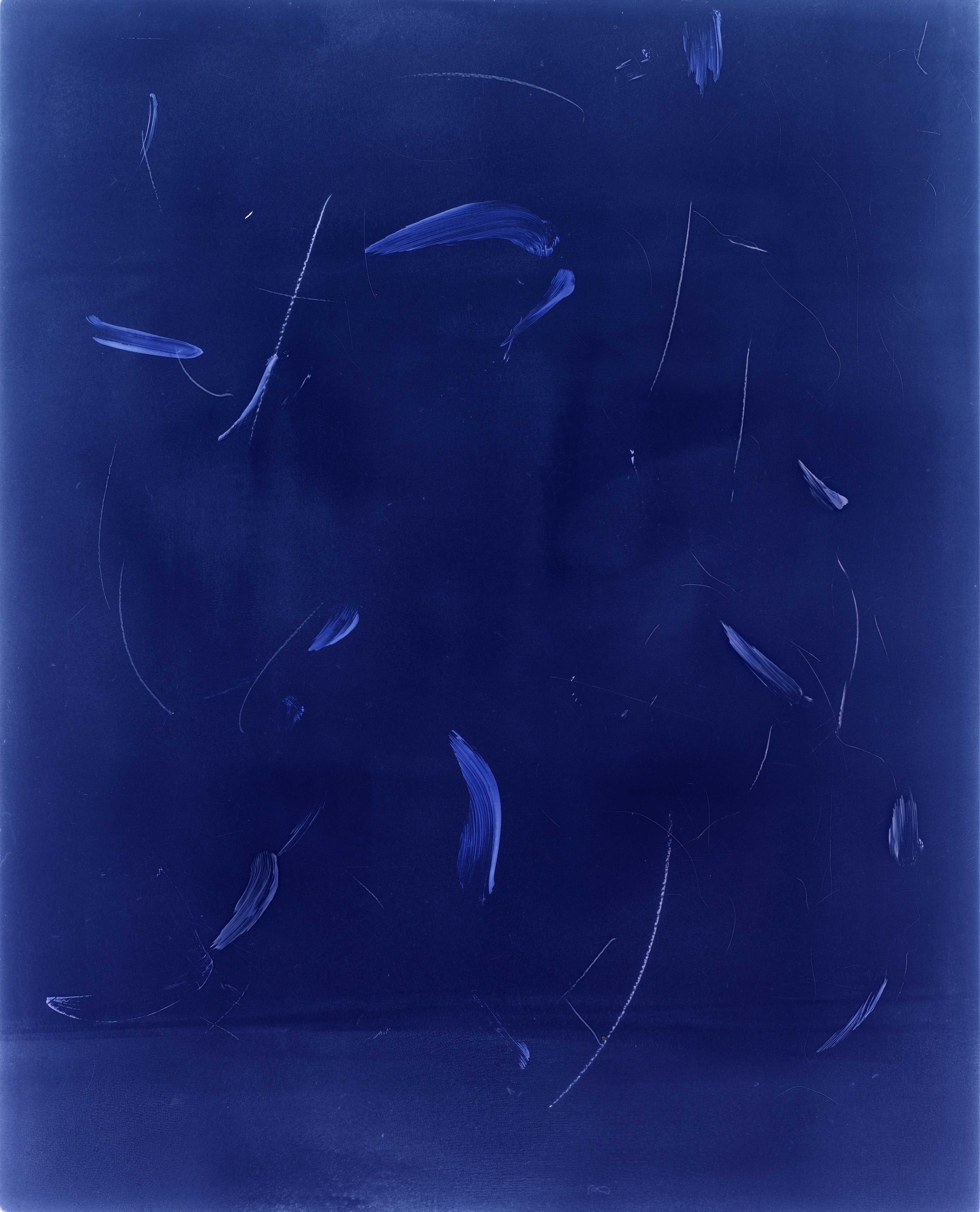 Violets grow on thistles’