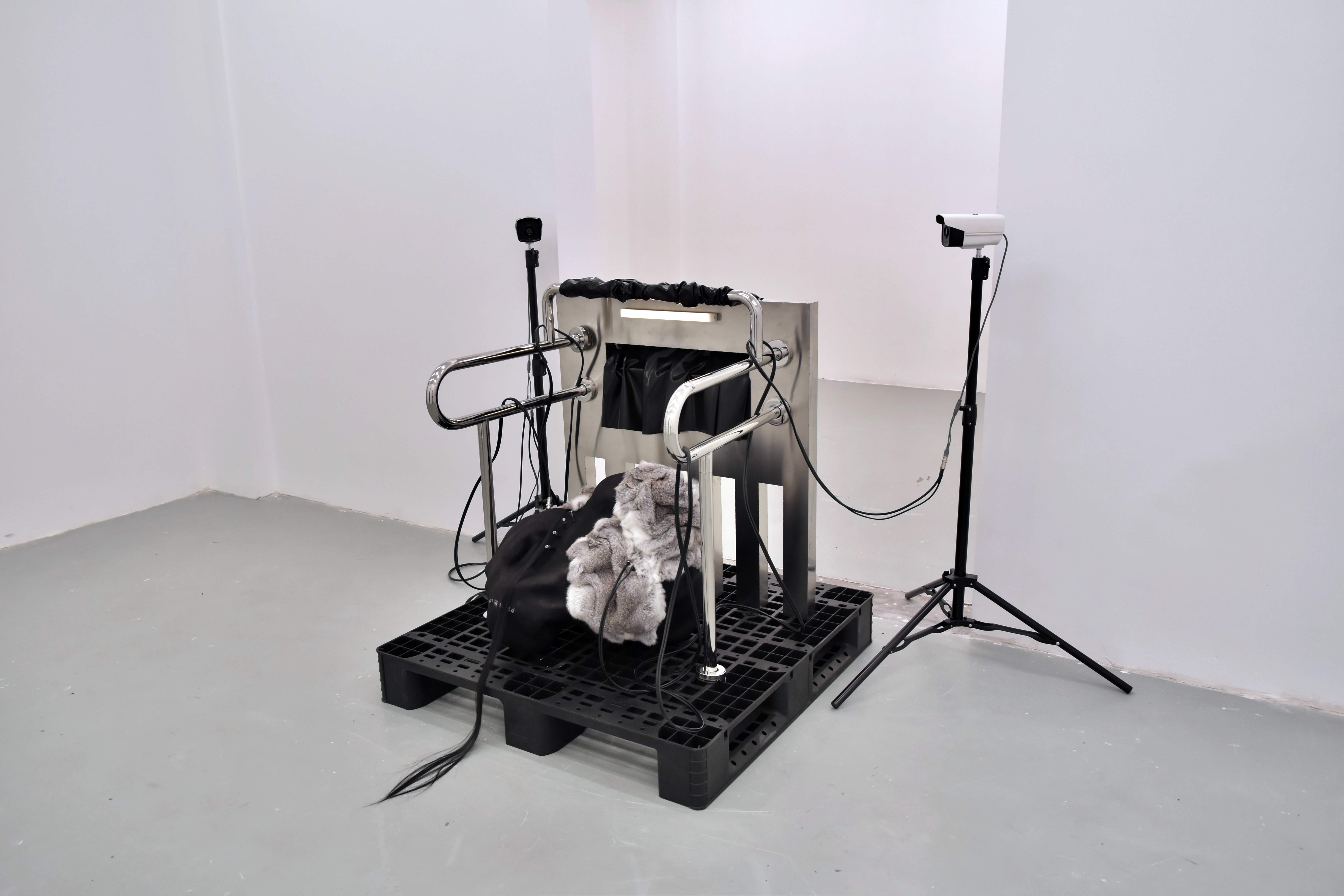 As It Turns Quiet, We Rot