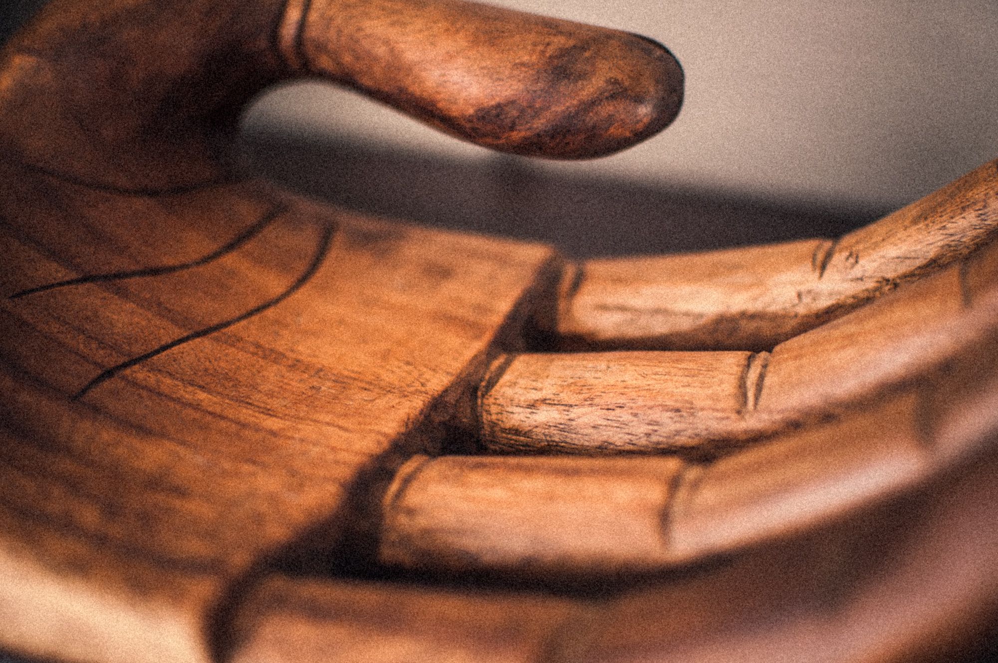 Sapien Sollicitudin testing