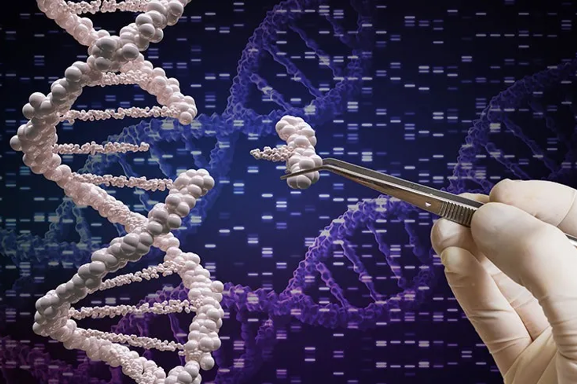 gene-editing