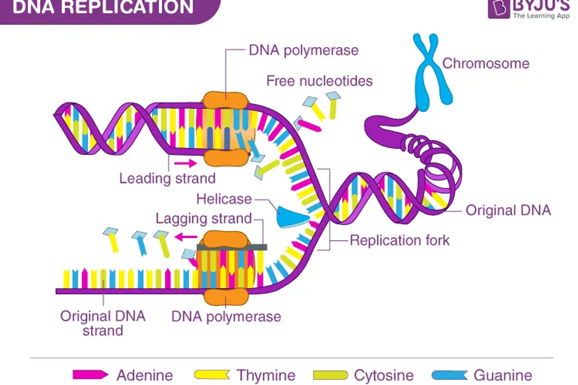 Basic-bioinfo