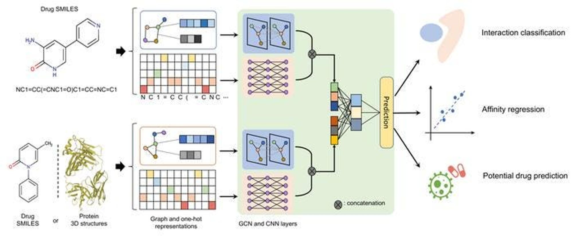 gnn_molecular