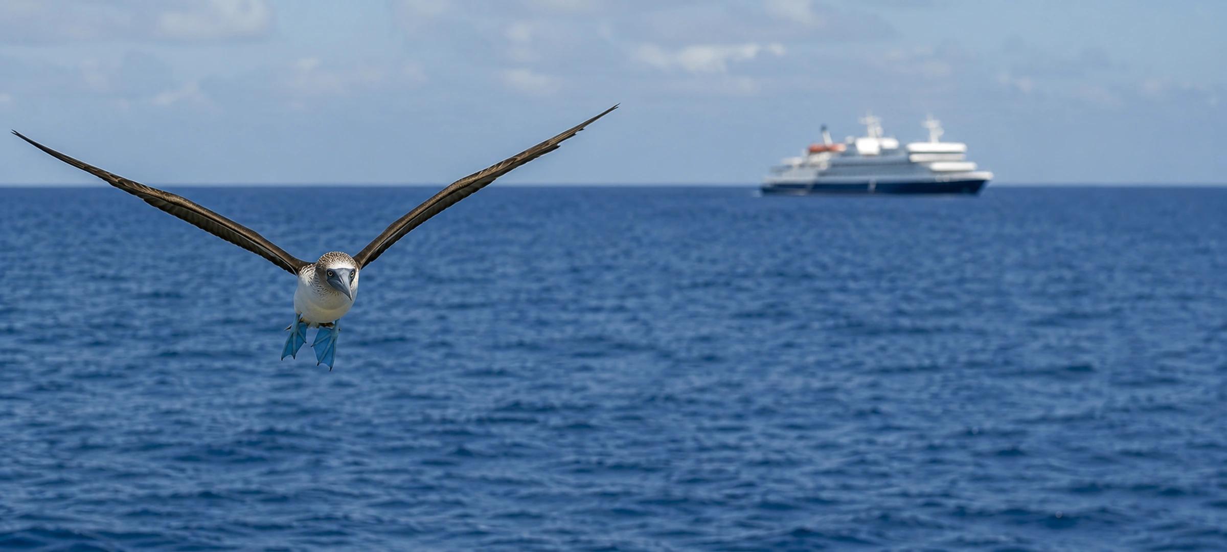 The Galápagos Islands