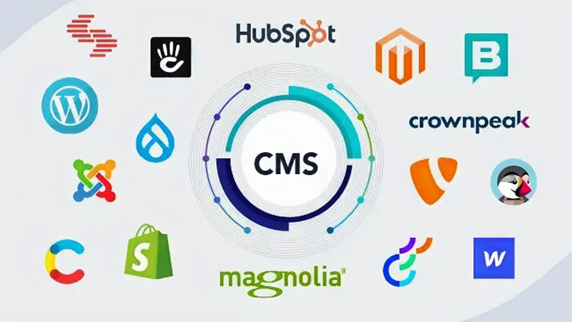 Boost Website Performance with WordPress & Shopify CMS