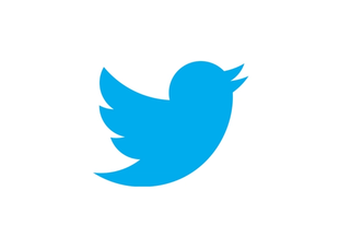 Twitter Logo