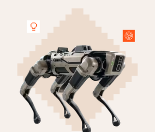 Robot dogs and India's defence