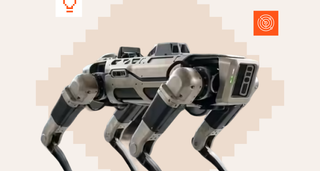 Robot dogs and India's defence