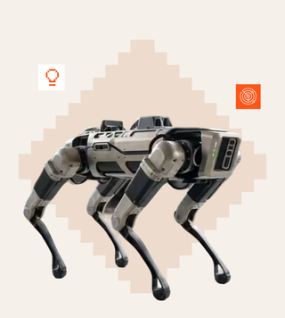 Robot dogs and India's defence