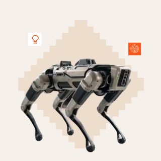 Robot dogs and India's defence