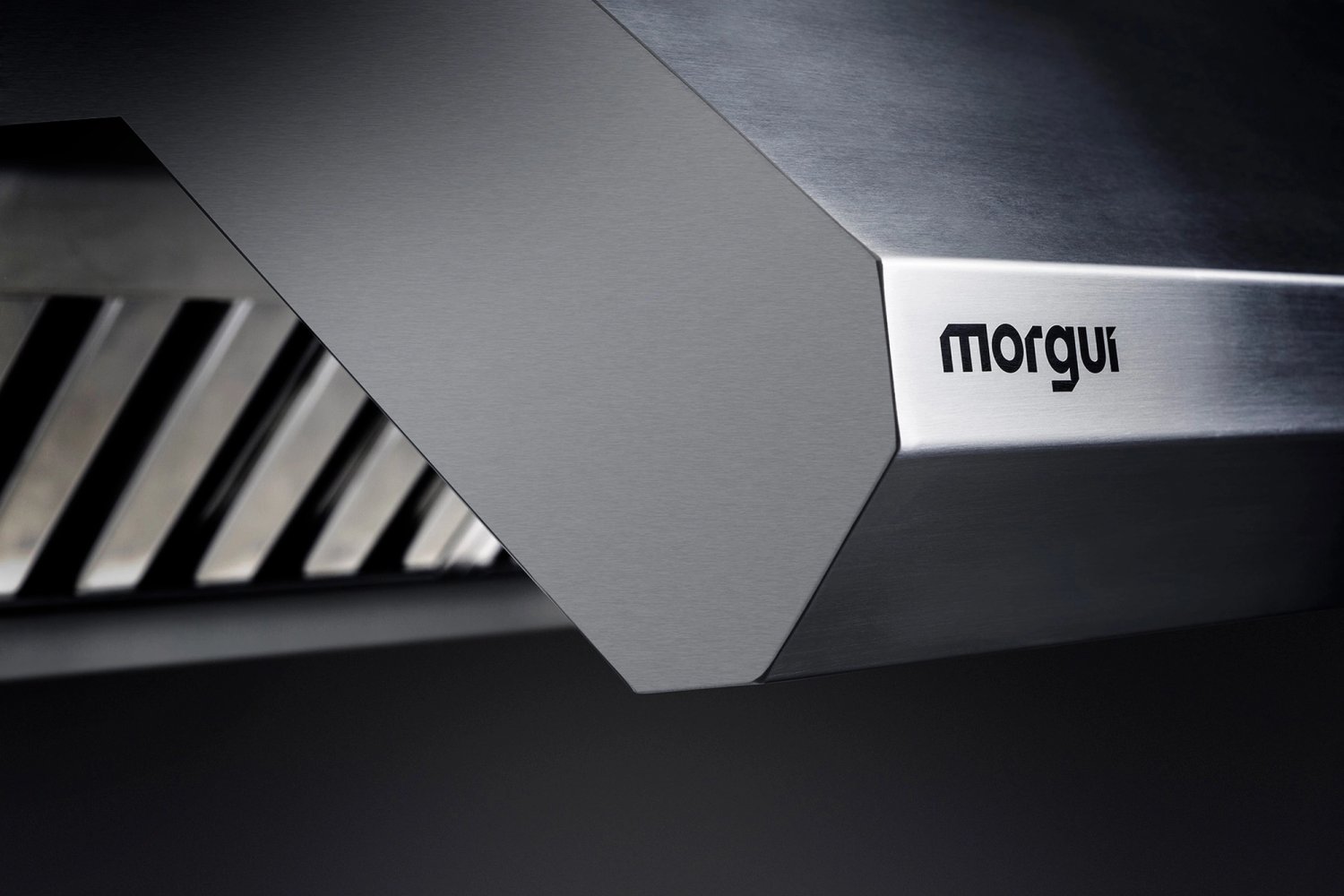 Campana Extractora Morgui