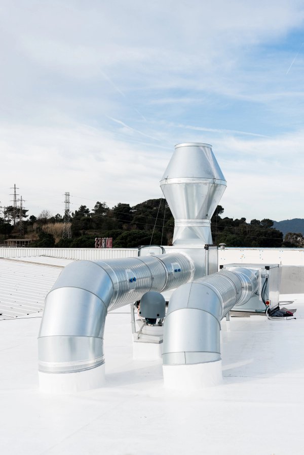 Extracción Morgui en restaurante Konig Blanes