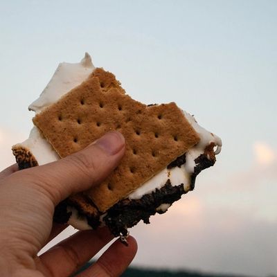 Camping Hack: Fortune Favors S'mores!