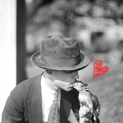 A Brief History of Presidential Pets and Other Pet Squirrels