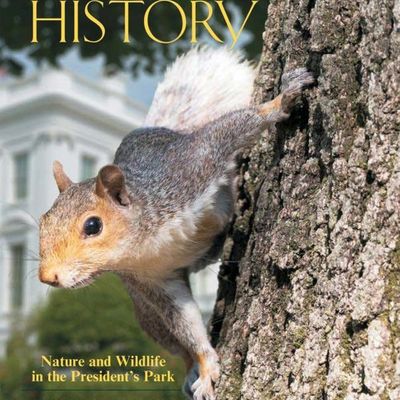 Which Presidential Pets were the G.O.A.T.?